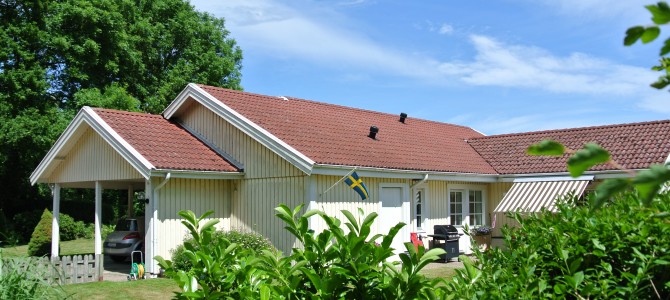 Vagnmakarelid